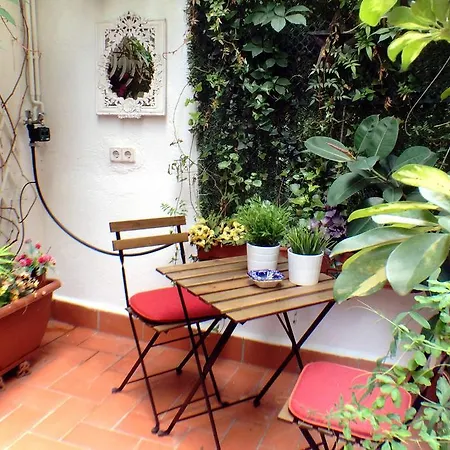 Casa Tortilla Gracia Apartment